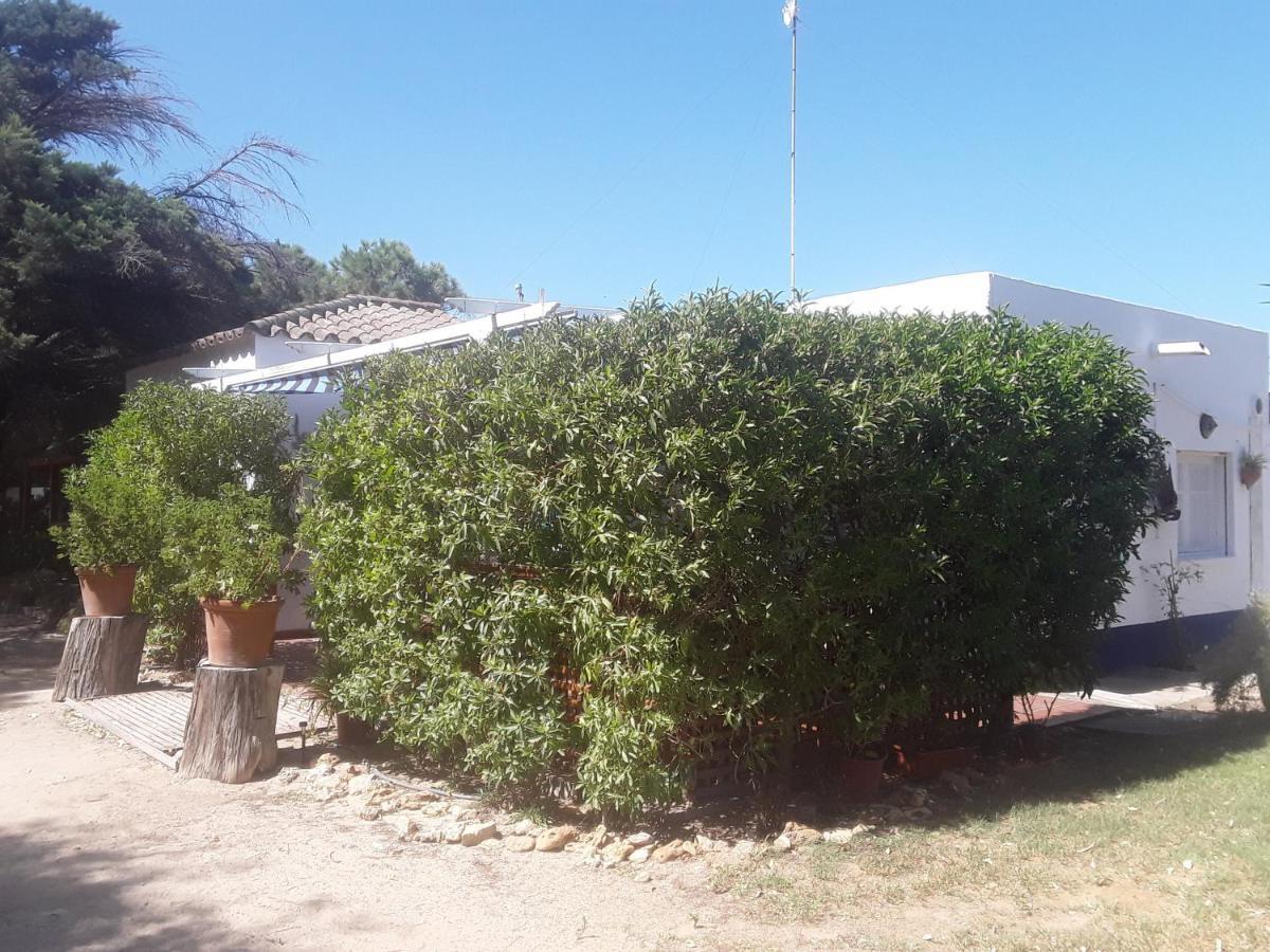 רוטה En Finca Las Dunas Dos Chalets Con Jacuzzis En Primera Linea De Playa , Uno De 4 Dormitorios Y Otro De 2 Dormitorios, Llama Al Seiscientos Veintisiete Cuatrocientos Diecisiete Trescientos Noventa Y Ocho מראה חיצוני תמונה