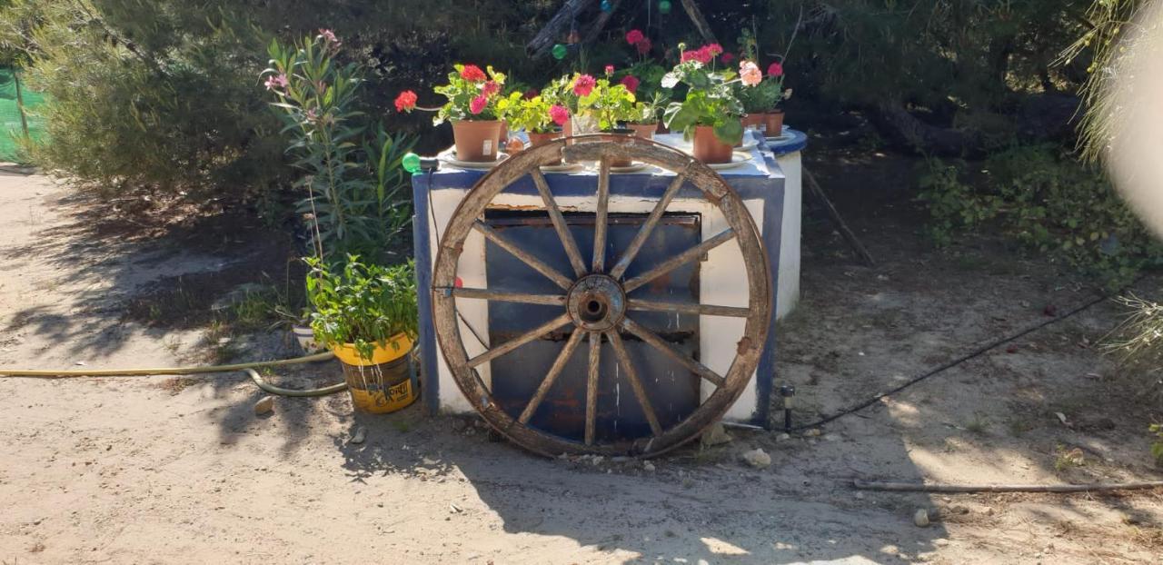 רוטה En Finca Las Dunas Dos Chalets Con Jacuzzis En Primera Linea De Playa , Uno De 4 Dormitorios Y Otro De 2 Dormitorios, Llama Al Seiscientos Veintisiete Cuatrocientos Diecisiete Trescientos Noventa Y Ocho מראה חיצוני תמונה