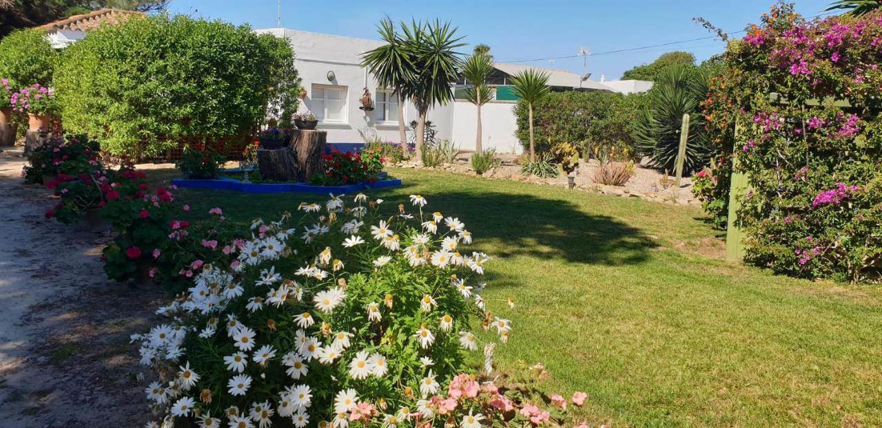 רוטה En Finca Las Dunas Dos Chalets Con Jacuzzis En Primera Linea De Playa , Uno De 4 Dormitorios Y Otro De 2 Dormitorios, Llama Al Seiscientos Veintisiete Cuatrocientos Diecisiete Trescientos Noventa Y Ocho מראה חיצוני תמונה