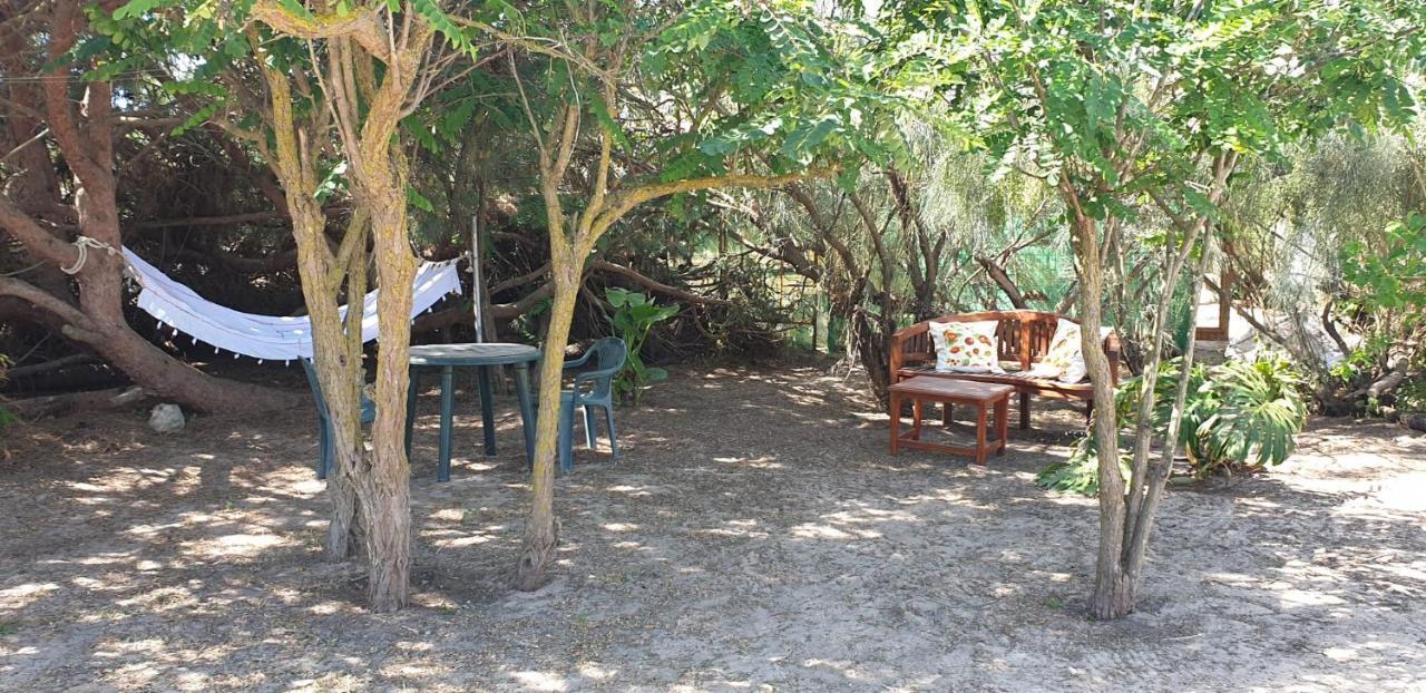 רוטה En Finca Las Dunas Dos Chalets Con Jacuzzis En Primera Linea De Playa , Uno De 4 Dormitorios Y Otro De 2 Dormitorios, Llama Al Seiscientos Veintisiete Cuatrocientos Diecisiete Trescientos Noventa Y Ocho מראה חיצוני תמונה