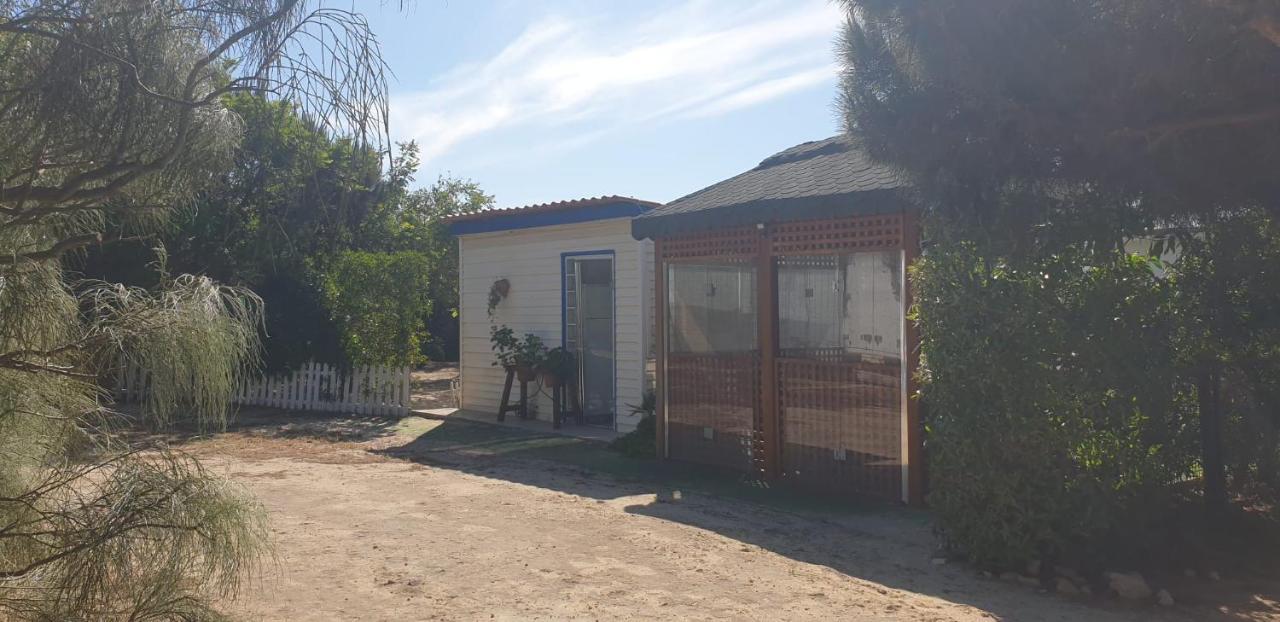 רוטה En Finca Las Dunas Dos Chalets Con Jacuzzis En Primera Linea De Playa , Uno De 4 Dormitorios Y Otro De 2 Dormitorios, Llama Al Seiscientos Veintisiete Cuatrocientos Diecisiete Trescientos Noventa Y Ocho מראה חיצוני תמונה