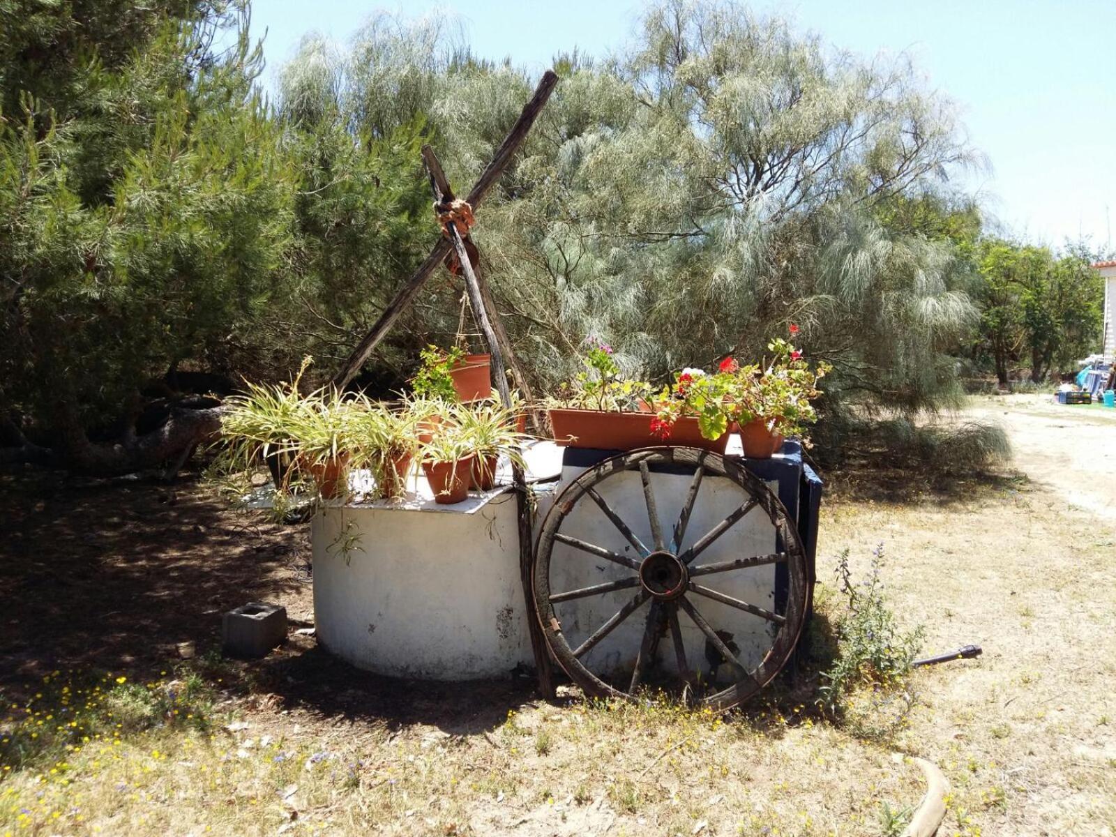 רוטה En Finca Las Dunas Dos Chalets Con Jacuzzis En Primera Linea De Playa , Uno De 4 Dormitorios Y Otro De 2 Dormitorios, Llama Al Seiscientos Veintisiete Cuatrocientos Diecisiete Trescientos Noventa Y Ocho מראה חיצוני תמונה