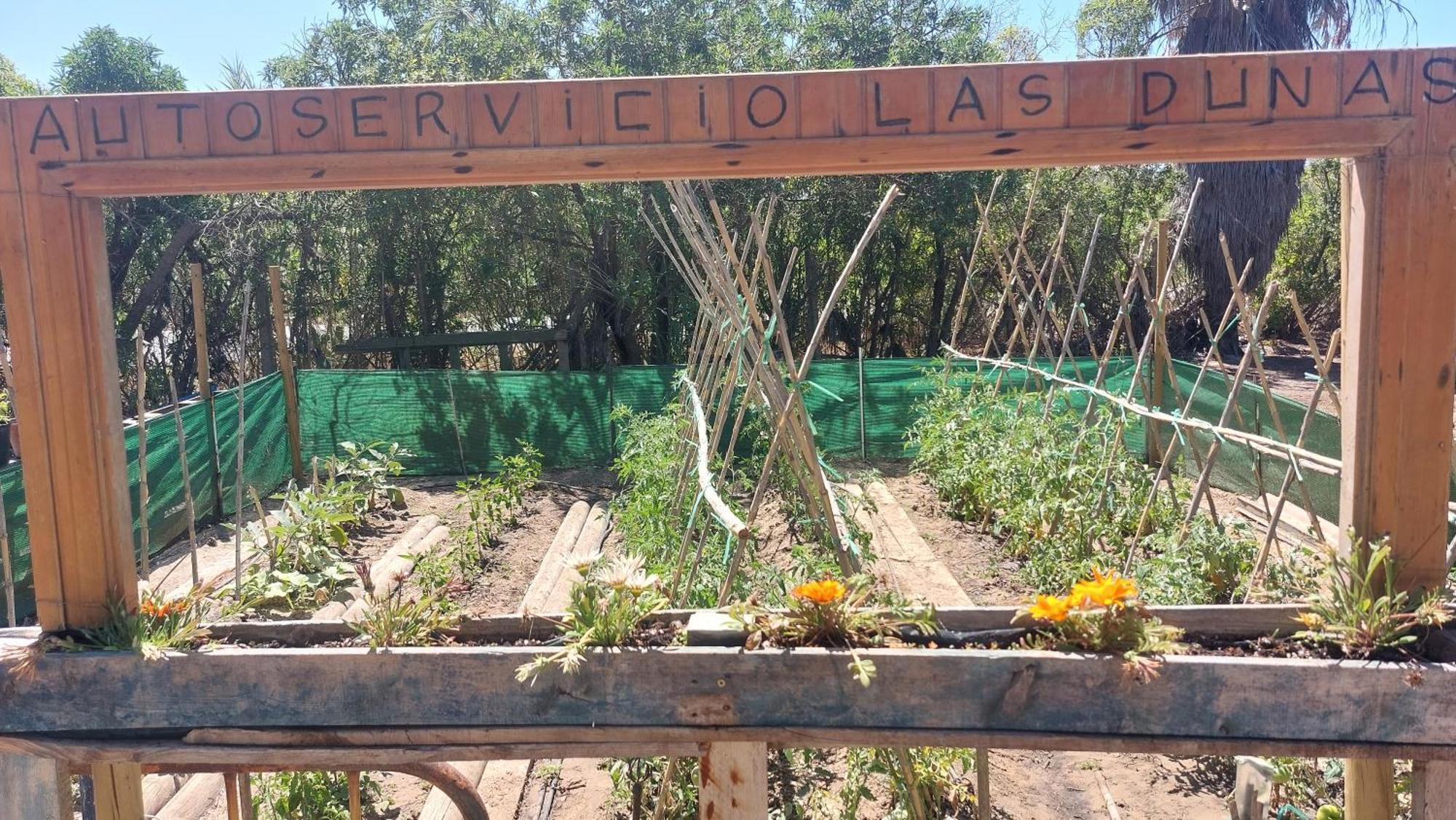 רוטה En Finca Las Dunas Dos Chalets Con Jacuzzis En Primera Linea De Playa , Uno De 4 Dormitorios Y Otro De 2 Dormitorios, Llama Al Seiscientos Veintisiete Cuatrocientos Diecisiete Trescientos Noventa Y Ocho חדר תמונה