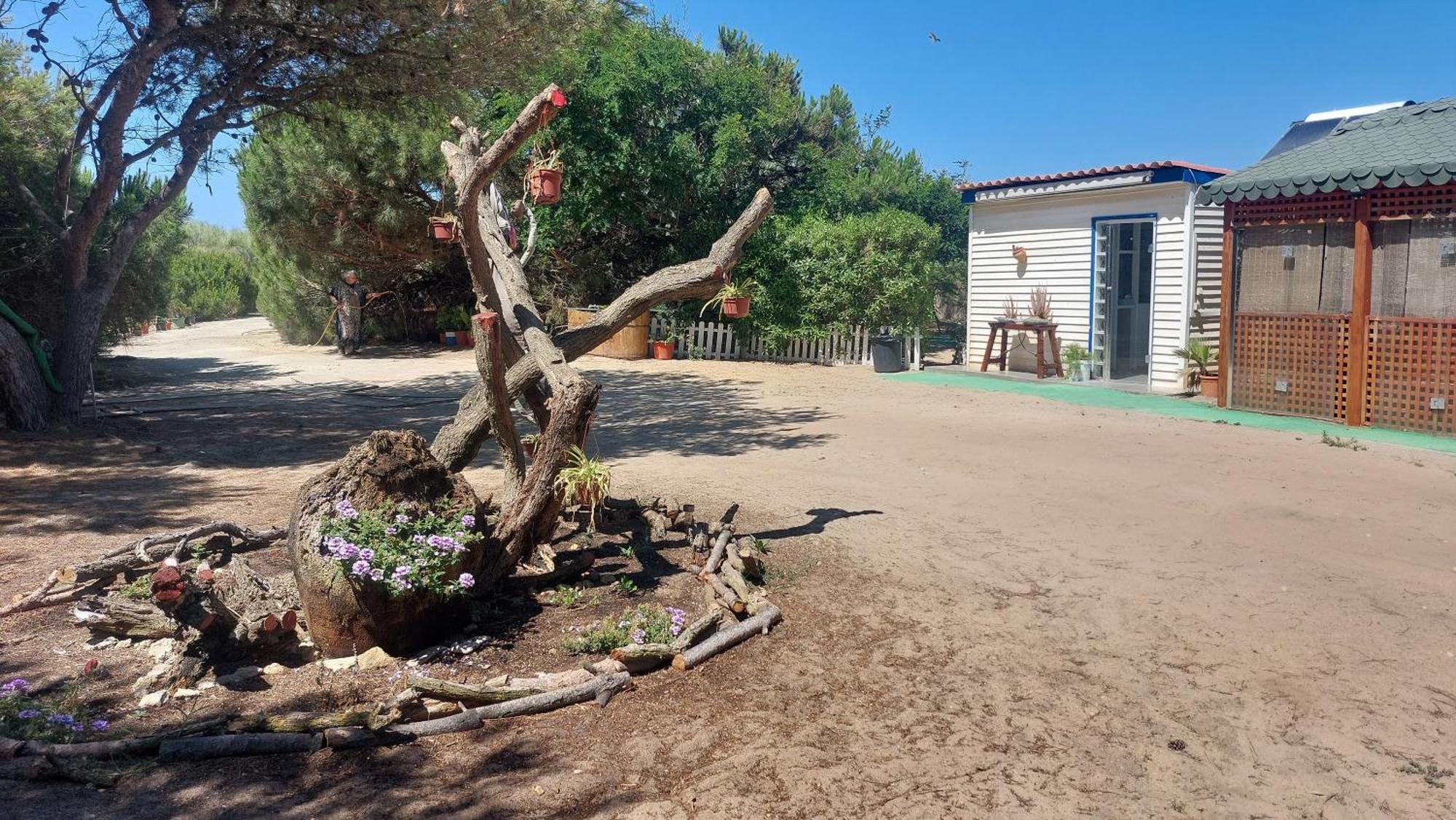 רוטה En Finca Las Dunas Dos Chalets Con Jacuzzis En Primera Linea De Playa , Uno De 4 Dormitorios Y Otro De 2 Dormitorios, Llama Al Seiscientos Veintisiete Cuatrocientos Diecisiete Trescientos Noventa Y Ocho מראה חיצוני תמונה